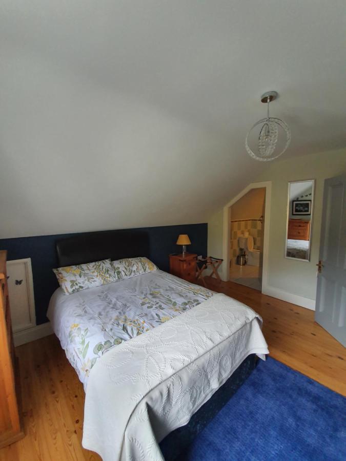 Highfield House Bed And Breakfast Collinstown Collinstown  Εξωτερικό φωτογραφία