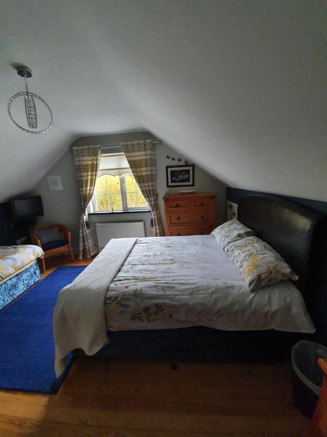 Highfield House Bed And Breakfast Collinstown Collinstown  Εξωτερικό φωτογραφία