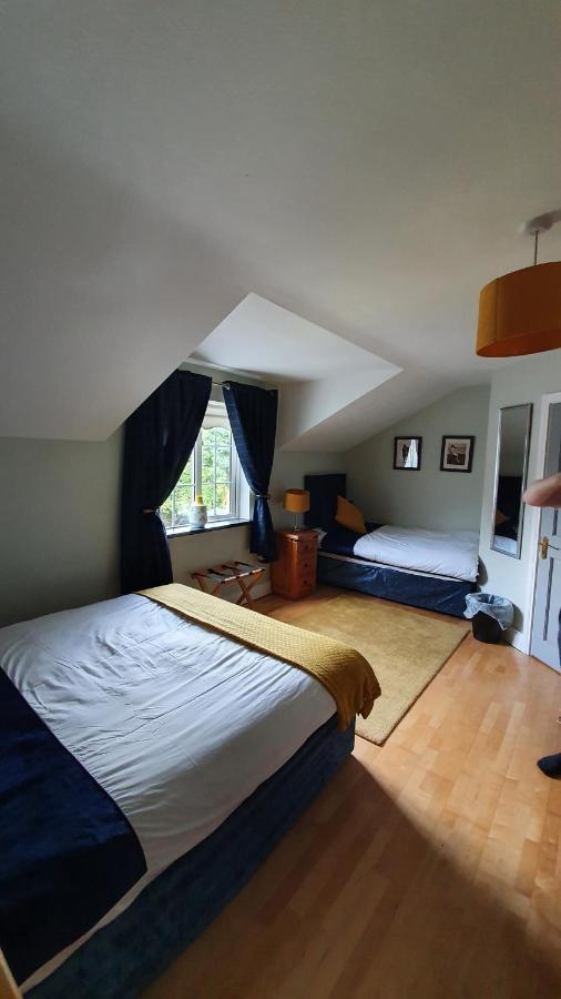 Highfield House Bed And Breakfast Collinstown Collinstown  Εξωτερικό φωτογραφία