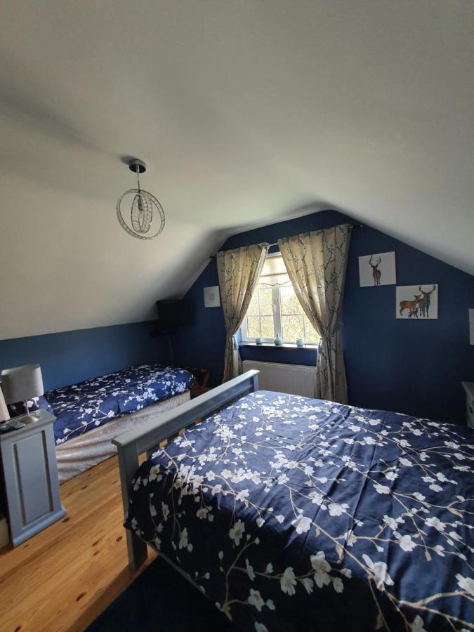 Highfield House Bed And Breakfast Collinstown Collinstown  Εξωτερικό φωτογραφία