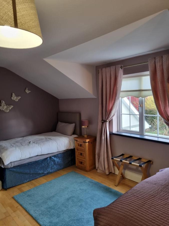 Highfield House Bed And Breakfast Collinstown Collinstown  Εξωτερικό φωτογραφία