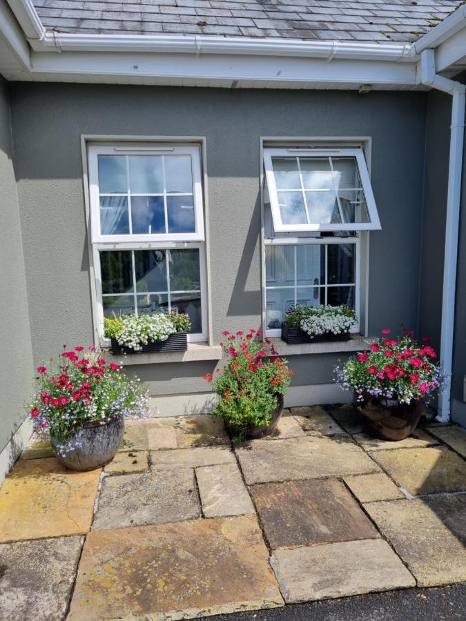 Highfield House Bed And Breakfast Collinstown Collinstown  Εξωτερικό φωτογραφία