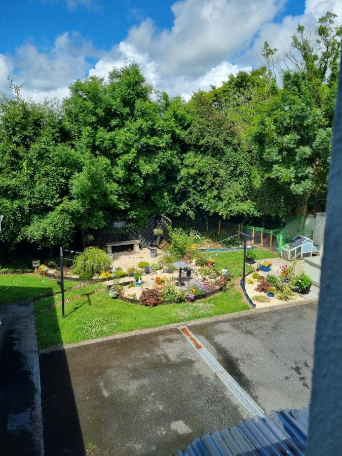 Highfield House Bed And Breakfast Collinstown Collinstown  Εξωτερικό φωτογραφία
