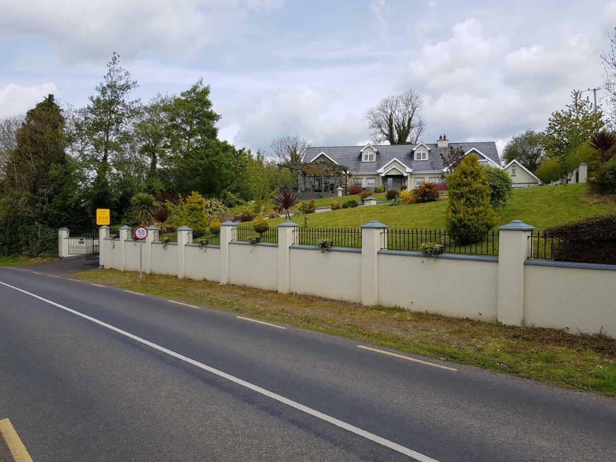 Highfield House Bed And Breakfast Collinstown Collinstown  Εξωτερικό φωτογραφία