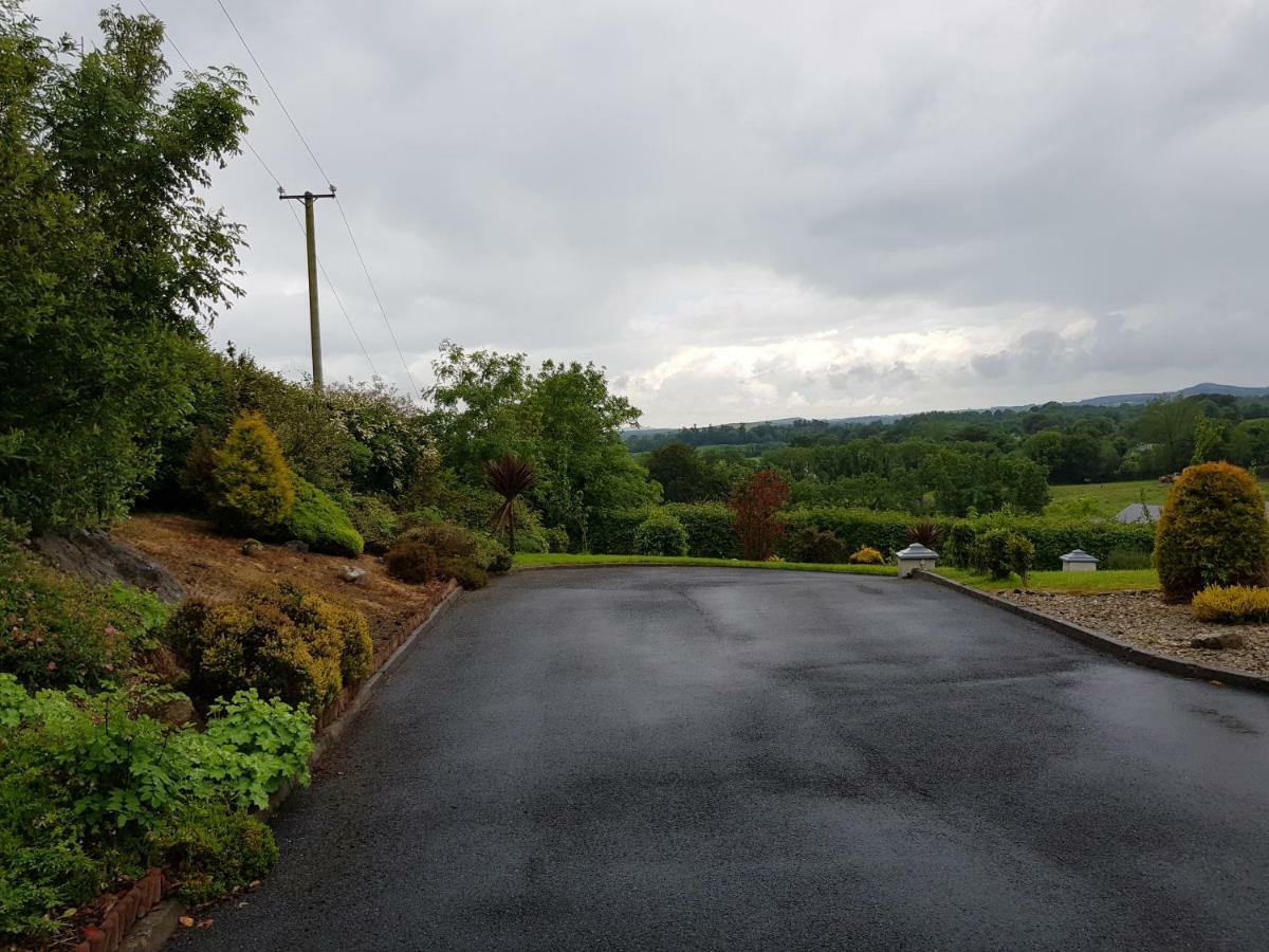 Highfield House Bed And Breakfast Collinstown Collinstown  Εξωτερικό φωτογραφία
